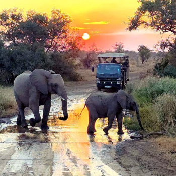 2026-03-30 14_48_29-RYSRWorkbook2025.pdf - Adobe Acrobat Reader (64-bit)